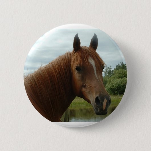 誕生日012 缶バッジ (正面)