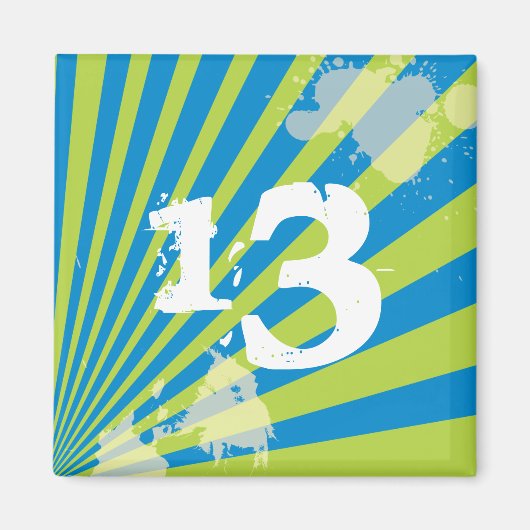 誕生日10代のパーティーの好意 |マグネット マグネット (正面)