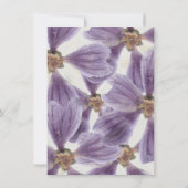 誕生日16thブライダルフローラコテージパープルアイリス 招待状 (裏面)