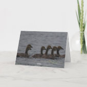 誕生日-カナダのガチョウ カード (裏面)