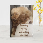 誕生日 カード (黄色い花)