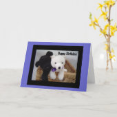 誕生日 カード (黄色い花)