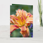 誕生日 カード (裏面)