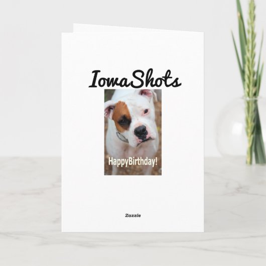 誕生日 カード (裏面)