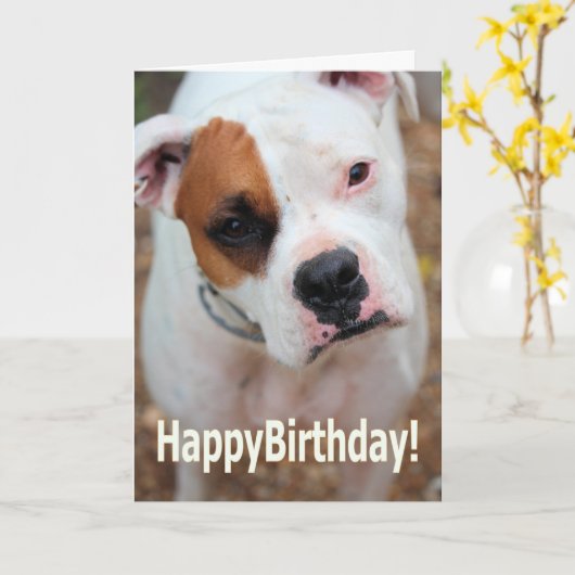 誕生日 カード (黄色い花)