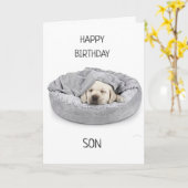 誕生日!カード カード (黄色い花)