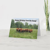 誕生日（グループから） カード (正面)