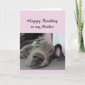 誕生日·トゥ·マイ·マザー·おもしろい·ドッグ·ユリラックスーモア カード (正面)