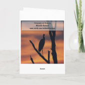 誕生日-バニーおよびデイジーの挨拶状 カード (裏面)