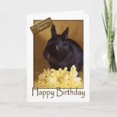 誕生日-バニーおよびデイジーの挨拶状 カード (正面)