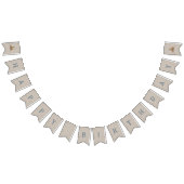 誕生日 バンティングフラッグ (全)