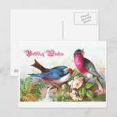 誕生日 ポストカード (正面/裏面)