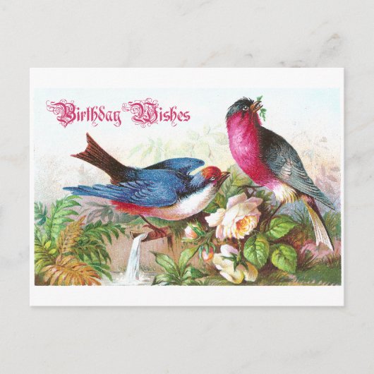 誕生日 ポストカード (正面)