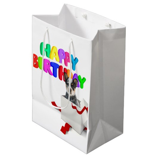 誕生日 ミディアムペーパーバッグ (正面アングル)