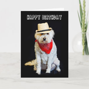 誕生日 – ユーモア – 犬/カウボーイハット、スカーフ カード