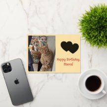 誕生日 名前の日 少年少女 ショウガ猫 写真