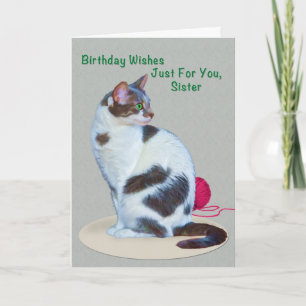 誕生日、姉妹、緑の瞳の猫カード カード