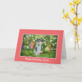 誕生日、姉妹、花の中の猫 カード (黄色い花)