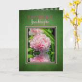 誕生日、孫娘、ピンクの牡丹/反射 カード (黄色い花)