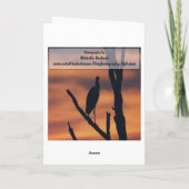 誕生日-朝顔の挨拶状 カード (裏面)