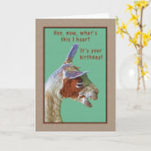 誕生日、笑いラマ・カード カード (黄色い花)