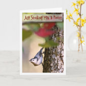 誕生日-精神病院の挨拶状 カード (黄色い花)