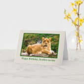 誕生日、義兄、岩の上のライオン カード (黄色い花)