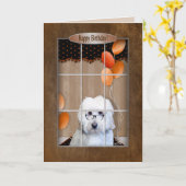 誕生日-金落書き-窓-気球 カード (黄色い花)