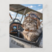 誕生日 面白い猫 パイロット & 飛行機 航空 ペット ポストカード (正面)