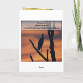 誕生日-黒目のSusansの挨拶状 カード (裏面)