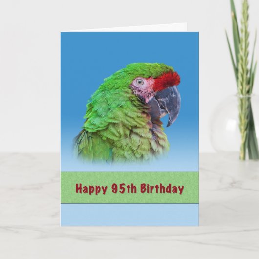 誕生日, 95th, Green Parrot カード (正面)