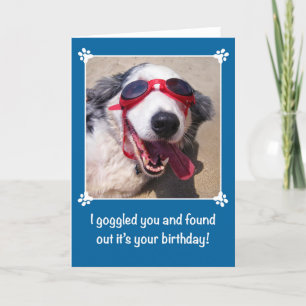 誕生日- I Goggled -オーストラリアの羊飼い犬 カード