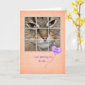 誕生日catウィンドウ カード (黄色い花)