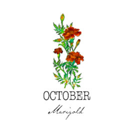 誕生月花10月マリゴールド クッション