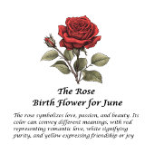 誕生月花6月パーソナライズされた16oz タンブラー