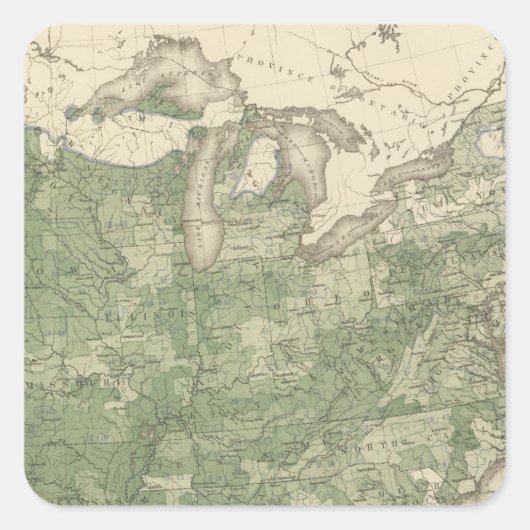 誕生率US、統計的USリトグラフ スクエアシール (正面)