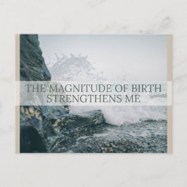 誕生確認書 シーズンポストカード