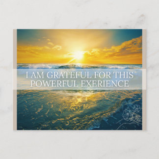 誕生確認書 シーズンポストカード