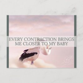 誕生確認書 シーズンポストカード