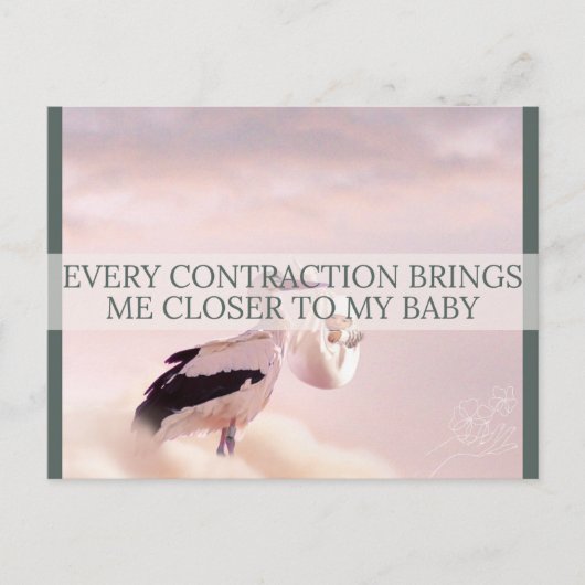 誕生確認書 シーズンポストカード (正面)