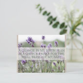 誕生確認書 シーズンポストカード (スタンド正面)