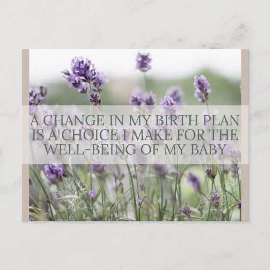 誕生確認書 シーズンポストカード (正面)