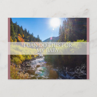 誕生確認書 シーズンポストカード