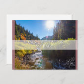 誕生確認書 シーズンポストカード (正面/裏面)