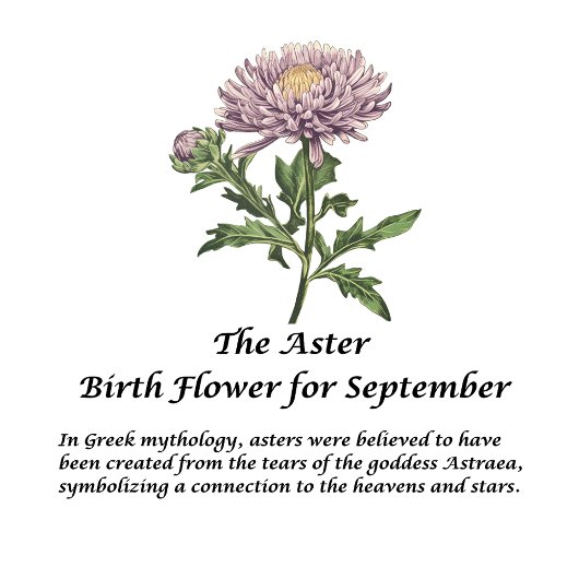 誕生花月9月アスターパーソナライズされた タンブラー