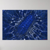 誕生 ポスター (正面)