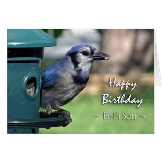 誕生Son Blue Jay on Bird Feederの誕生日 (正面横)