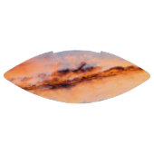 誘引消費 アメリカンフットボール (パネル)