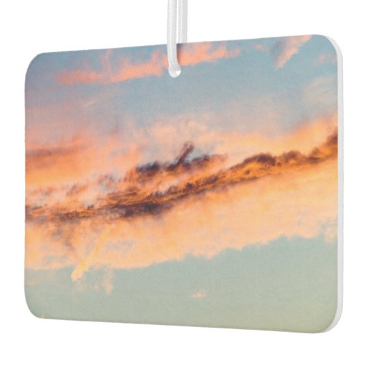 誘引消費 カーエアーフレッシュナー (左)