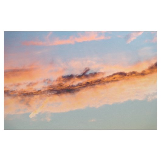 誘引消費 ファブリック (ヤード)